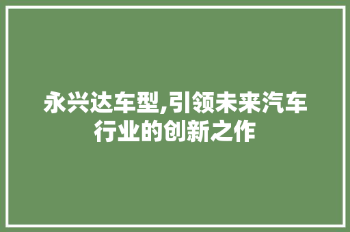 永兴达车型,引领未来汽车行业的创新之作