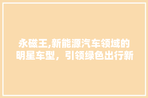 永磁王,新能源汽车领域的明星车型，引领绿色出行新潮流