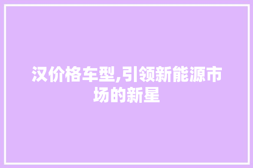 汉价格车型,引领新能源市场的新星