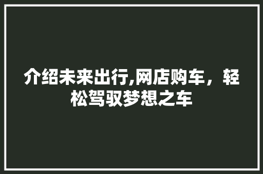 介绍未来出行,网店购车，轻松驾驭梦想之车
