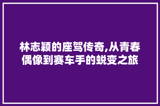 林志颖的座驾传奇,从青春偶像到赛车手的蜕变之旅