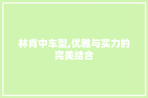 林肯中车型,优雅与实力的完美结合