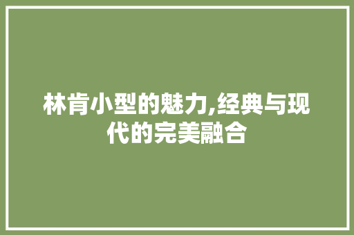林肯小型的魅力,经典与现代的完美融合