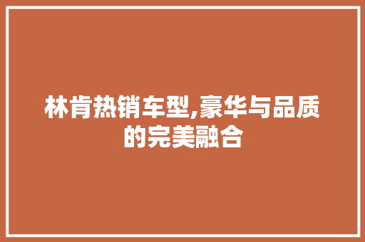 林肯热销车型,豪华与品质的完美融合