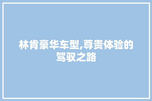林肯豪华车型,尊贵体验的驾驭之路