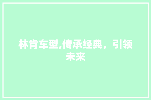 林肯车型,传承经典，引领未来