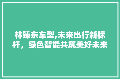 林臻东车型,未来出行新标杆，绿色智能共筑美好未来