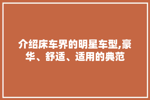 介绍床车界的明星车型,豪华、舒适、适用的典范