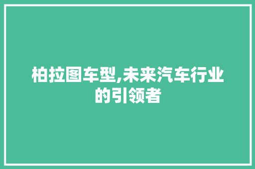 柏拉图车型,未来汽车行业的引领者