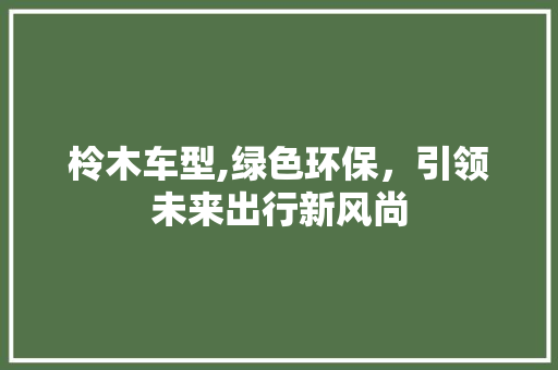 柃木车型,绿色环保，引领未来出行新风尚