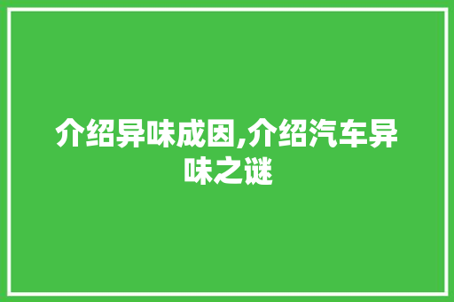 介绍异味成因,介绍汽车异味之谜
