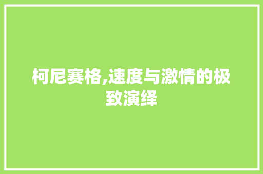柯尼赛格,速度与激情的极致演绎