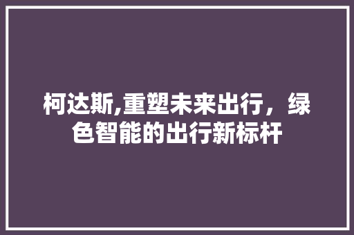 柯达斯,重塑未来出行，绿色智能的出行新标杆