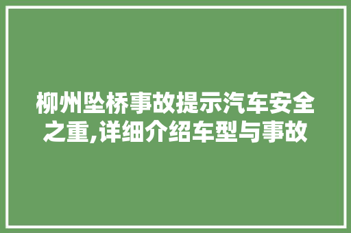 柳州坠桥事故提示汽车安全之重,详细介绍车型与事故的关系