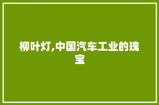 柳叶灯,中国汽车工业的瑰宝