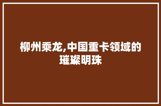 柳州乘龙,中国重卡领域的璀璨明珠