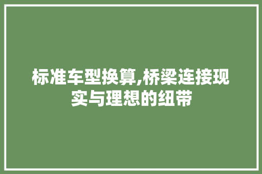标准车型换算,桥梁连接现实与理想的纽带