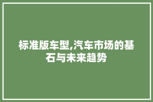 标准版车型,汽车市场的基石与未来趋势