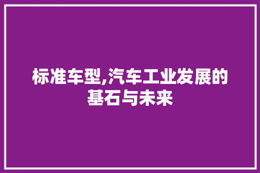 标准车型,汽车工业发展的基石与未来