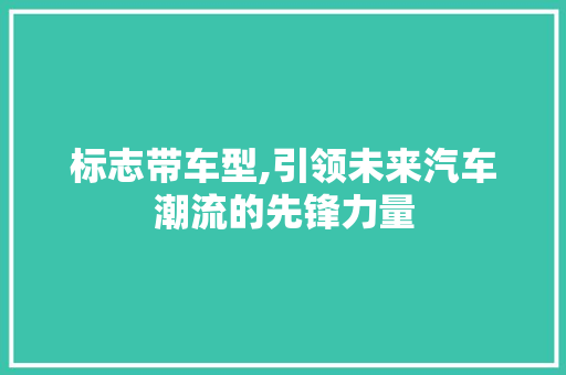 标志带车型,引领未来汽车潮流的先锋力量