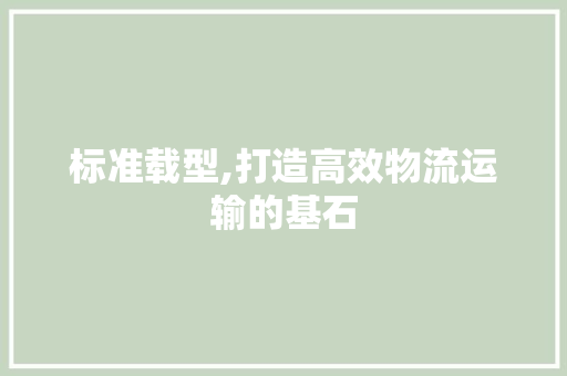 标准载型,打造高效物流运输的基石
