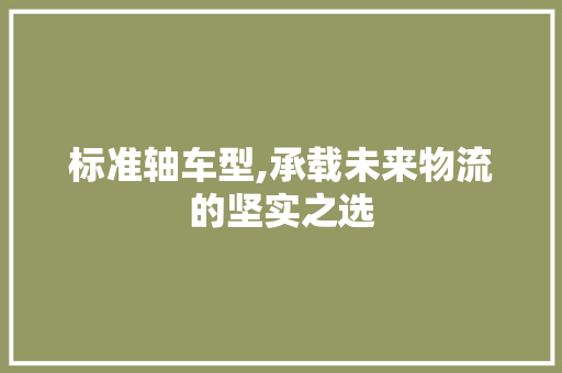 标准轴车型,承载未来物流的坚实之选