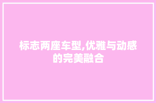 标志两座车型,优雅与动感的完美融合