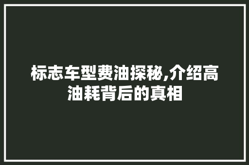 标志车型费油探秘,介绍高油耗背后的真相