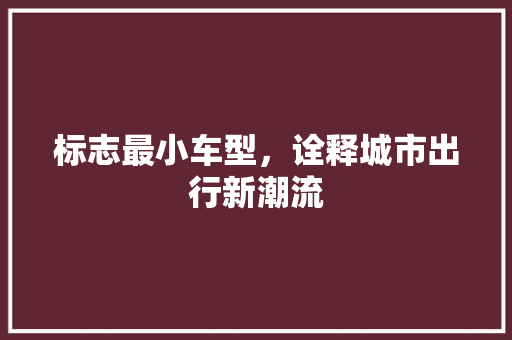 标志最小车型，诠释城市出行新潮流