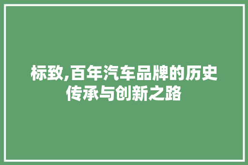标致,百年汽车品牌的历史传承与创新之路