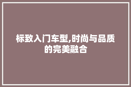 标致入门车型,时尚与品质的完美融合