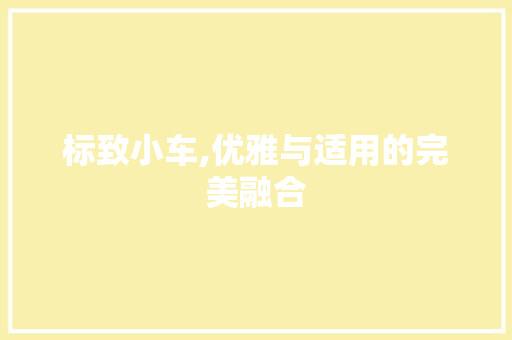 标致小车,优雅与适用的完美融合