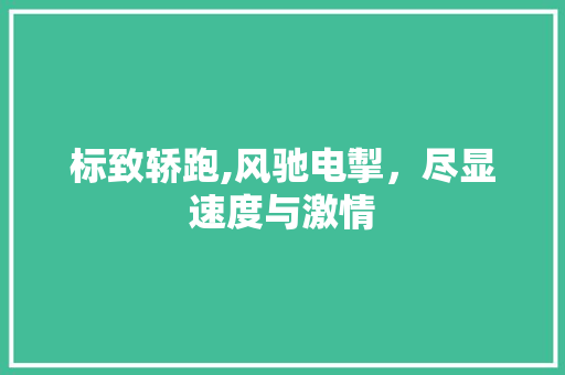 标致轿跑,风驰电掣，尽显速度与激情