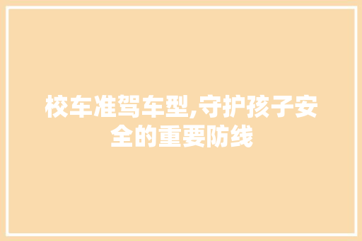 校车准驾车型,守护孩子安全的重要防线