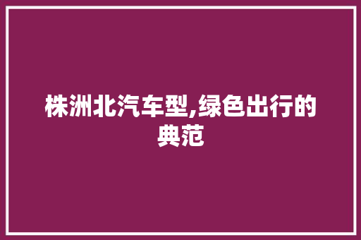 株洲北汽车型,绿色出行的典范 车灯配件