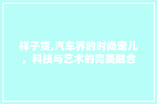 样子货,汽车界的时尚宠儿，科技与艺术的完美融合