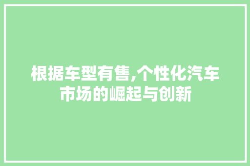 根据车型有售,个性化汽车市场的崛起与创新