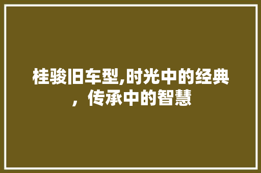 桂骏旧车型,时光中的经典，传承中的智慧