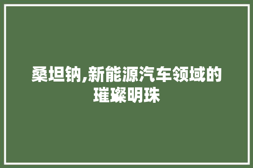 桑坦钠,新能源汽车领域的璀璨明珠