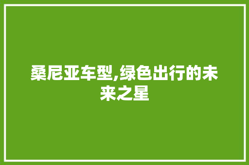 桑尼亚车型,绿色出行的未来之星