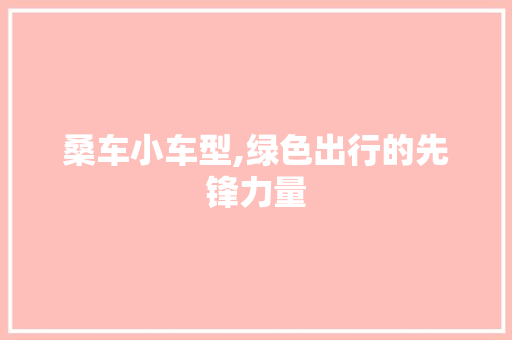 桑车小车型,绿色出行的先锋力量