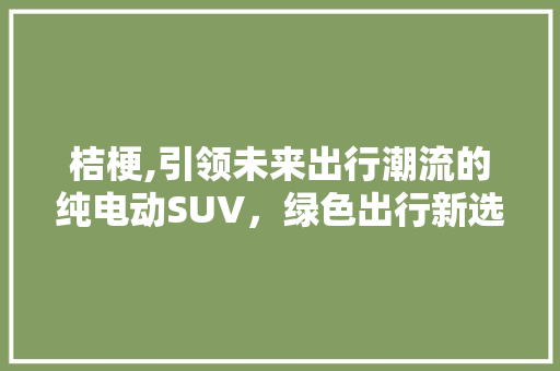 桔梗,引领未来出行潮流的纯电动SUV，绿色出行新选择