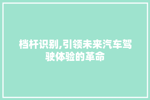 档杆识别,引领未来汽车驾驶体验的革命