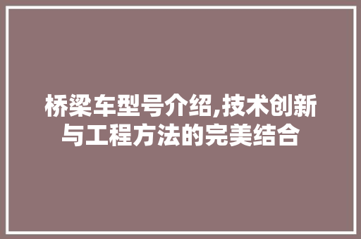 桥梁车型号介绍,技术创新与工程方法的完美结合
