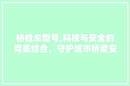 桥检车型号,科技与安全的完美结合，守护城市桥梁安全防线