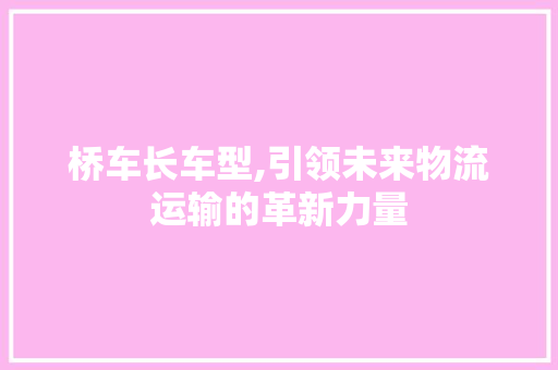 桥车长车型,引领未来物流运输的革新力量