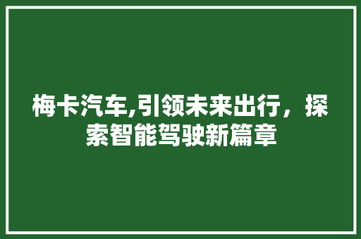 梅卡汽车,引领未来出行，探索智能驾驶新篇章