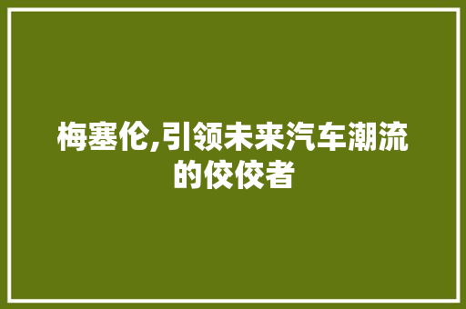 梅塞伦,引领未来汽车潮流的佼佼者