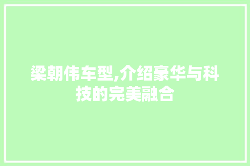 梁朝伟车型,介绍豪华与科技的完美融合