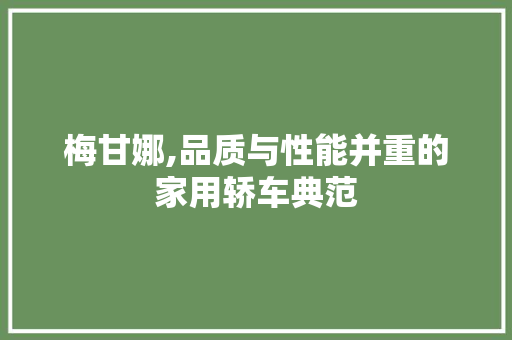 梅甘娜,品质与性能并重的家用轿车典范